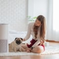 Time to Upgrade? 18x24x1 HVAC and Furnace Air Filter for Home Guide